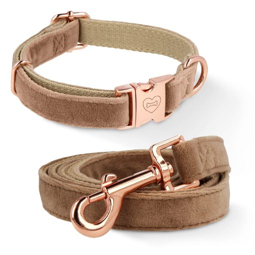 Conjunto de Collar y Correa de Terciopelo para Perros, Collar Ajustable para Perros, Suave y Comodo, Simbolo Grabado, Hebilla de Acero, Set Duradero para Perros Pequenos y Medianos, Pequeno (S)