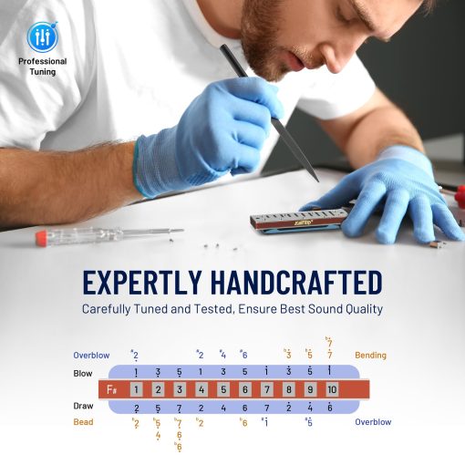 Armonica Diatonica East top en F# 10 Agujeros 20 Tonos 008K Armonica Blues con Estuche Azul, Armonica Estandar Para Adultos, Profesionales y Estudiantes - Imagen 4