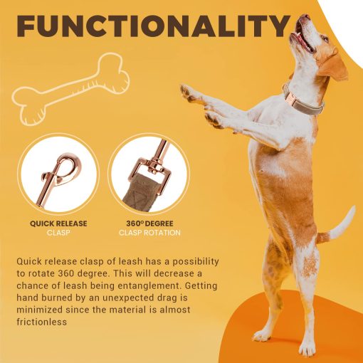 Conjunto de Collar y Correa de Terciopelo para Perros, Collar Ajustable para Perros, Suave y Comodo, Simbolo Grabado, Hebilla de Acero, Set Duradero para Perros Pequenos y Medianos, Pequeno (S) - Imagen 4