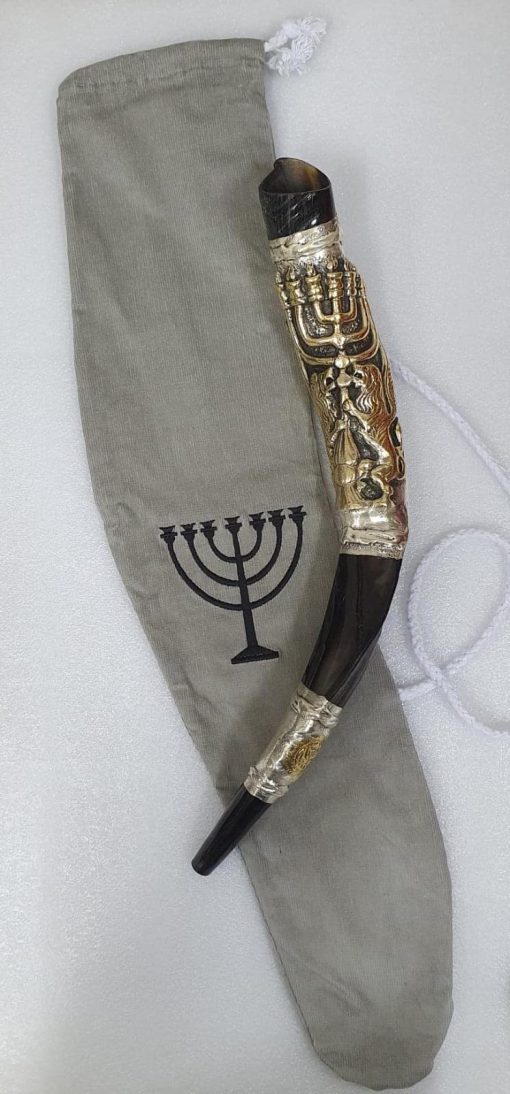 Shofarot Israel Shofar Yemenite Kudu Horn 20''-23" con Plata Esterlina Plateada Leon de Juda Menorah con Bolsa Gratis - Imagen 6