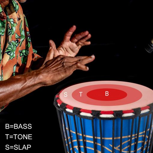 Tambor Djembe Africano lotmusic, 9.5'' Tambor de Congo de Caoba Tallado, Tambor Profesional Bongo con Parche de Cabra - Imagen 7