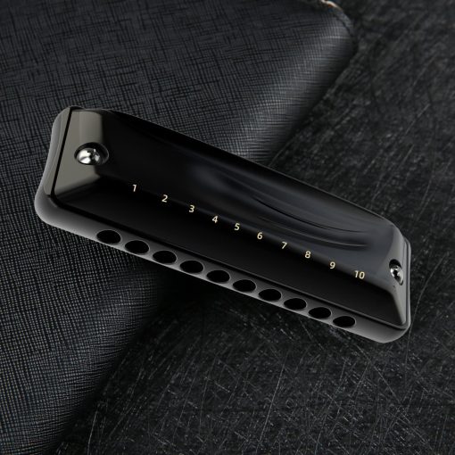 Armonica JDR clave de G Ninja, Armonica Blues Mini Harp 10 Agujeros 20 Tonos Musical con Estuche para Adultos Ninos Principiantes Profesor Estudiantes Profesionales Musico Folk Rock Diatonico Estandar organo de Boca Regalo Negro - Imagen 3