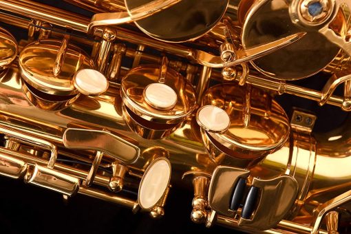 Saxofon Herche Superior Alto Saxophone X3 | Instrumentos Profesionales para Todos los Niveles | Llave de Mi Mayor | Aprobado por Educadores & Plan de Servicio - Imagen 6