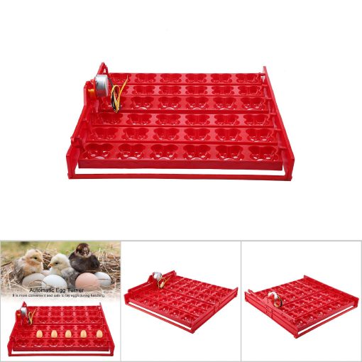 nwejron Egg Turner, Bandeja para incubar huevos, Accesorios para incubadora de huevos de laboratorio, Ganso para pollo, pato, pavo real (Motor 110V) - Imagen 6