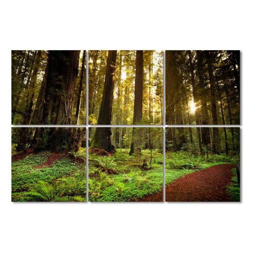 Paneles Acusticos de Arte Trail Redwood a Traves de arboles en el Bosque Secuoyas Imagenes 6 Pack Panel de Pared Decorativo Absorbente de Sonido con Cancelacion de Ruido Acolchado Insonorizado para Hogar y Oficina, 72"x48"