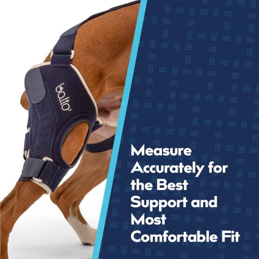 Balto Jump Brace - Rodillera para Perros - Brace con Ferulas de Aluminio - Soporte Pre/Post Operatorio Ayuda a Prevenir Nuevas Lesiones - Pierna Derecha, Grande - Imagen 3