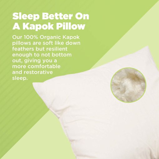 Almohada de Kapok de Bean Products - Tamano Euro 20 x 20, Algodon Organico, Vegano, Calidad Premium - Fabricada en USA Almohada para Cuello Cama Cuerpo Cojin de Suelo Sofa Lanzamiento Refuerzo - Tela y Relleno Ecologico Organico - Imagen 2