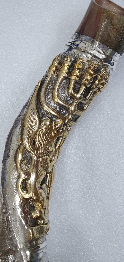 Shofarot Israel Shofar Yemenite Kudu Horn 20''-23" con Plata Esterlina Plateada Leon de Juda Menorah con Bolsa Gratis - Imagen 7