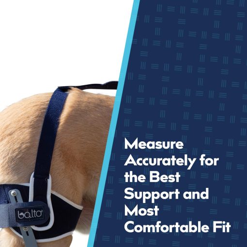 Ferula Ajustable Con Bisagras para Rodilla de Perro Balto Ligatek - Ferula para CCL en Perros - Rango Variable de Movimiento o Inmovilizacion Completa - Soporte Postquirurgico o Alternativa Quirurgica - Pata Derecha, Tamano Mediano - Imagen 4