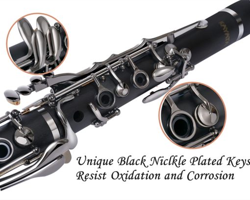Clarinet Bb KAYATA con cuerpo de ebonita negra, nuevas llaves niqueladas negras, reposacabezas ajustable con anillos negros mas delgados. Estuche de lujo para clarinete de lona - Imagen 3