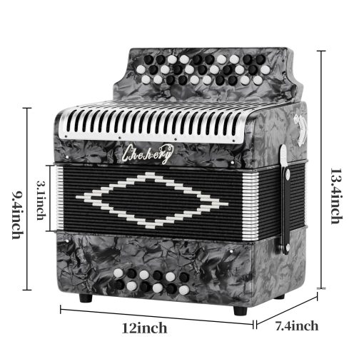 Acordeon Diatonico de 31 Teclas, 12 Bajos, G/C/F, Instrumento de Acordeon para Adultos con Maleta, Pano de Limpieza, Correas y Guantes (Plata) - Imagen 3