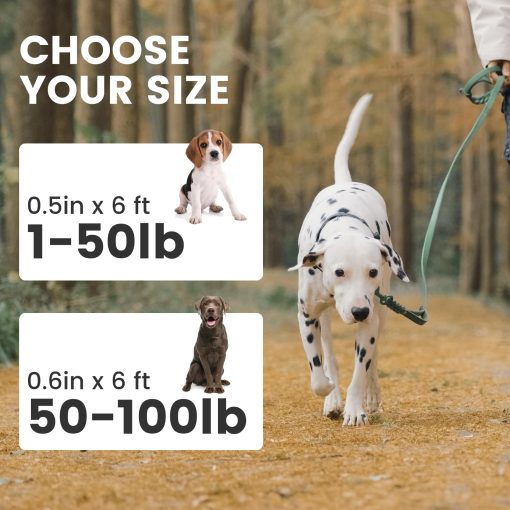 Correa de cuero para perros de 6 pies Super Ligera de Grado Militar Resistente para Perros Grandes, Medianos y Pequenos Entrenamiento y Paseo (Verde, 3/5in) - Imagen 6