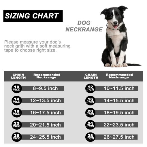 Collar de Cadena para Perro con Cierre de Circonia, Collar de 10MM de Metal Plateado de Lujo para Perro Bling Gato Collar Pequeno (10MM, 12") - Imagen 3