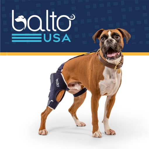 Balto Jump Brace - Rodillera para Perros - Brace con Ferulas de Aluminio - Soporte Pre/Post Operatorio Ayuda a Prevenir Nuevas Lesiones - Pierna Derecha, Grande - Imagen 6