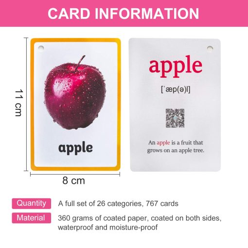 Richardy 26 Categorias 767 PCS Ninos Montessori Tarjetas de Flash de Aprendizaje en Ingles Tarjeta de Bolsillo Juguetes para Ninos Educacion Preescolar - Imagen 3