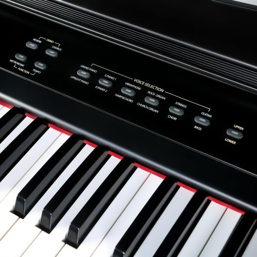 Piano Digital Portatil de 88 Teclas Artesia, Teclado Electrico con Teclas Sensibles a la Velocidad de Tamano Completo, Paquete para Principiantes con Pedal Sustain, Estante de Musica y Clases de Piano Gratis de TakeLessons & Melodics - Imagen 3