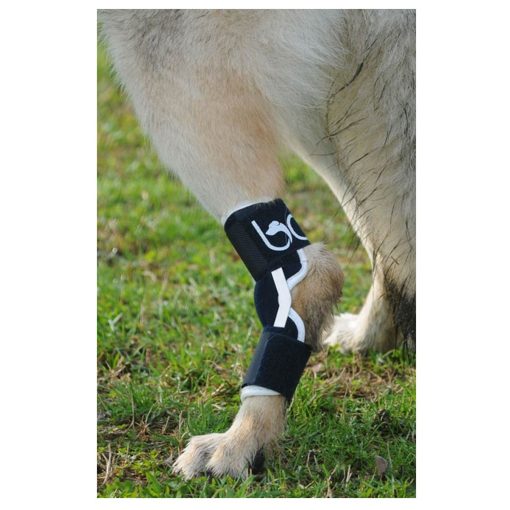 Balto Soporte para Tobillos de Perros y Gatos - Ferula de Tobillos para Perros - Ferula de Tobillos para Gatos - Ferula con Ferulas de Aluminio - Ayuda para el Soporte de Artritis y Articulaciones Inestables - Soporte para Piernas Traseras (Extra Pequeno) - Imagen 2