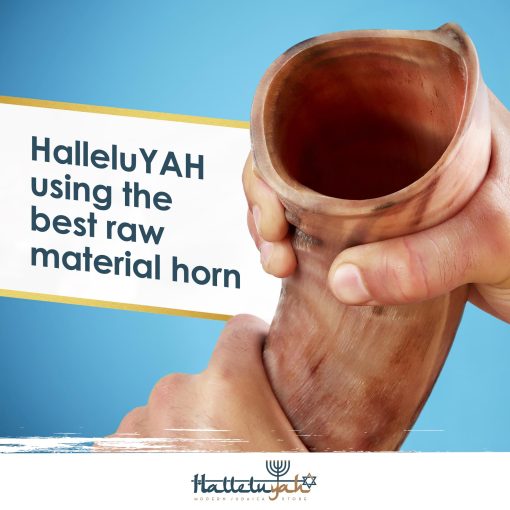 Shofar Kudu Original Kosher HalleluYAH Totalmente Pulido 35"-39" | De Israel - Imagen 3