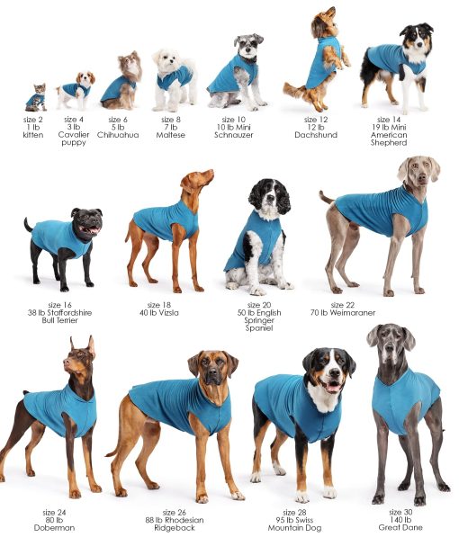 Abrigo Doble de Fleece Gold Paw Duluth para Perros - Suave, Abrigado, Prendas para Perros, Sueter de 4 vias - Lavable a Maquina, Todas las Estaciones, Carbon/Lavanda, Talla 8 - Imagen 2