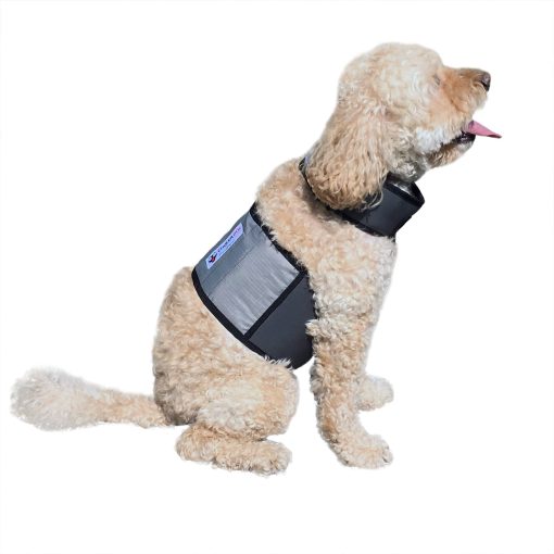 Chaleco y Collar de Enfriamiento para Perros CoolerDog - Chaleco de Hielo para Perros Pequenos (18" a 22" de Circunferencia)