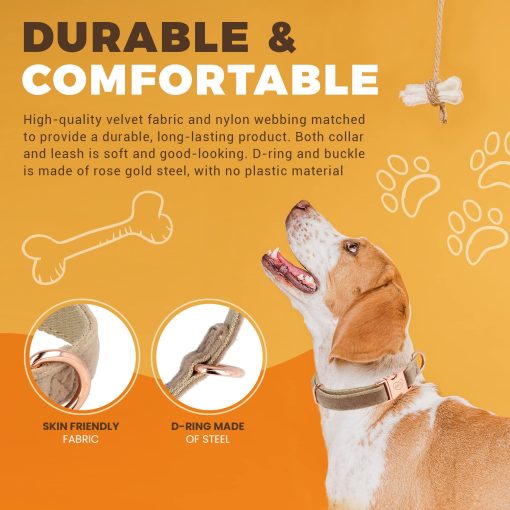 Conjunto de Collar y Correa de Terciopelo para Perros, Collar Ajustable para Perros, Suave y Comodo, Simbolo Grabado, Hebilla de Acero, Set Duradero para Perros Pequenos y Medianos, Pequeno (S) - Imagen 2