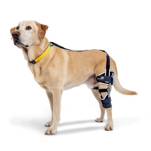 Ferula Ajustable Con Bisagras para Rodilla de Perro Balto Ligatek - Ferula para CCL en Perros - Rango Variable de Movimiento o Inmovilizacion Completa - Soporte Postquirurgico o Alternativa Quirurgica - Pata Derecha, Tamano Mediano