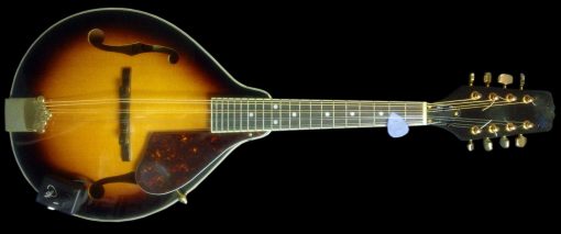 Myers Pickups Roman Mandolin Pickup con Micro-Gooseneck Flexible - Imagen 4