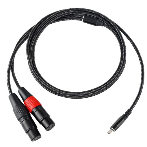 Cable de Audio USB C a Dos XLR Hembra de Anewbig, 10FT Adaptador de USB C a 2 XLR Hembra para Amplificadores, Altavoces Activos, Consolas de Mezcla Trenzado en Negro - Imagen 2