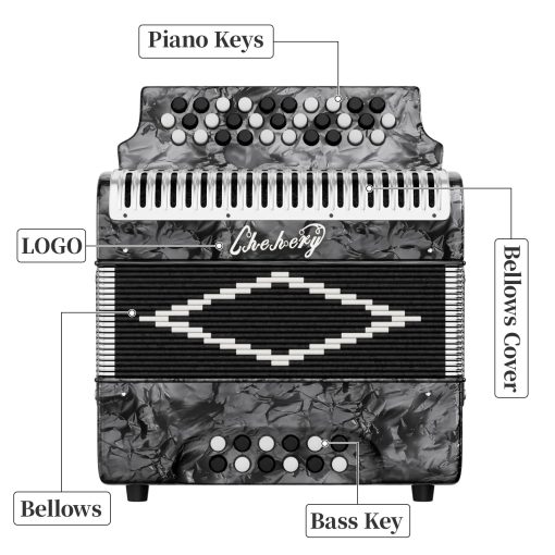 Acordeon Diatonico de 31 Teclas, 12 Bajos, G/C/F, Instrumento de Acordeon para Adultos con Maleta, Pano de Limpieza, Correas y Guantes (Plata) - Imagen 5