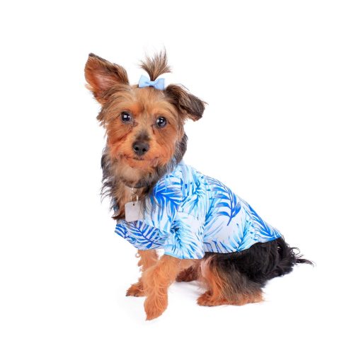 Camisa de perro Hawaiian Matching en patron Simply Blue Leaves - Talla XLarge - Imagen 3