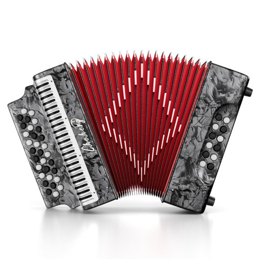 Acordeon Diatonico de 31 Teclas, 12 Bajos, G/C/F, Instrumento de Acordeon para Adultos con Maleta, Pano de Limpieza, Correas y Guantes (Plata)