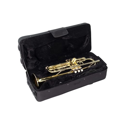 Trompeta estandar Bb LeSage dorada para principiantes estudiantes Trompeta de laton con boquilla 7c Kit de limpieza de la trompeta Aceite de valvula Estuche de la trompeta - Imagen 9