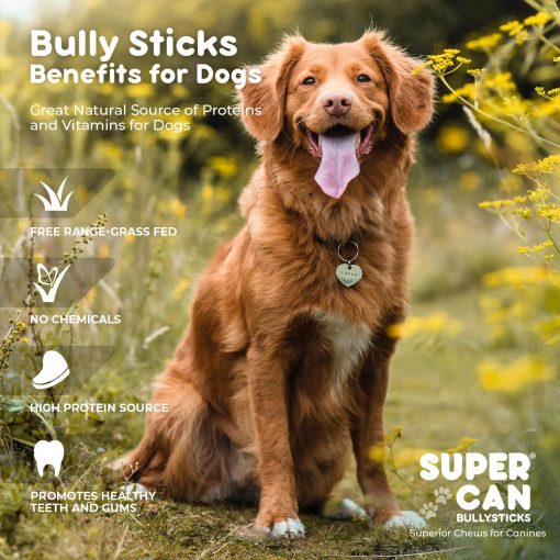 Barras de Carne de Res Supercan para Perros 6 "(40 unidades) - 100% Natural Criada en Granja de Carne de Res. Golosinas para Perros de Ganado de Pastoreo Libre de OMG - Imagen 7