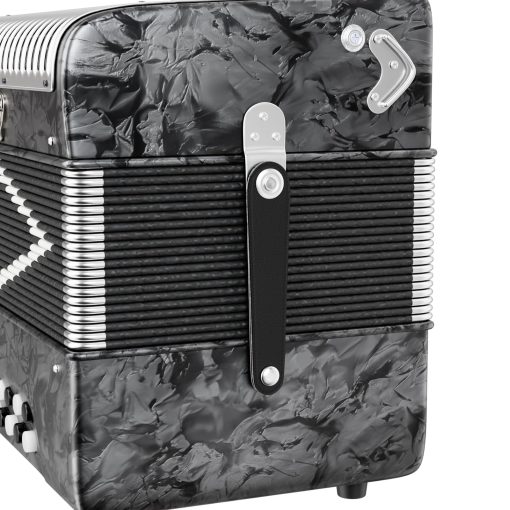 Acordeon Diatonico de 31 Teclas, 12 Bajos, G/C/F, Instrumento de Acordeon para Adultos con Maleta, Pano de Limpieza, Correas y Guantes (Plata) - Imagen 6