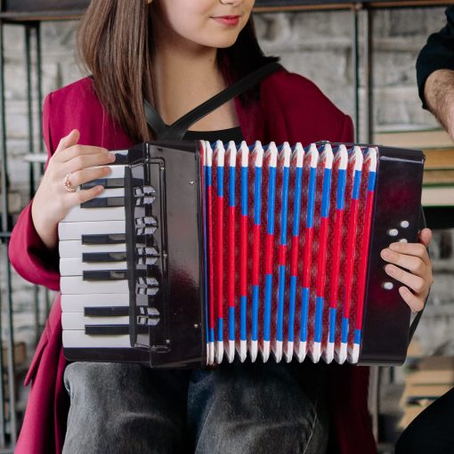Acordeon de 17 teclas para ninos estudiantes 8 bajos con correas para principiantes instrumento musical educativo (Negro) - Imagen 6