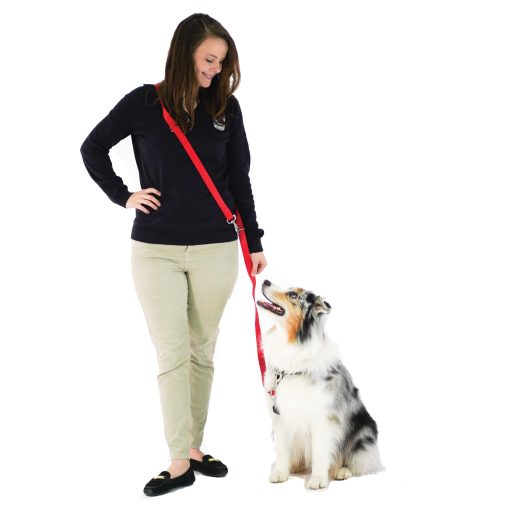 Correa de Perro Manos Libres Multi-Funcion Blue-9, Doble Enganche Ajustable de 6 Pies para Obediencia, Correr y Entrenamiento de Agilidad (Rosa Fuerte, Pequeno Mediano) - Imagen 5