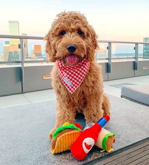 Juguetes de Peluche para Perros de Comida Linda TONBO (Combo de Martes de Tacos) - Imagen 3