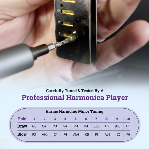 Armonica Harmo Polar Diatonica en Mi Menor - Afinacion Armonica Menor para Musica Clasica, Jazz, Gitana, Oriental, Lounge y Tango, Armonica Con Estuche, Armonica para Adultos, Principiantes y Profesionales - Imagen 4