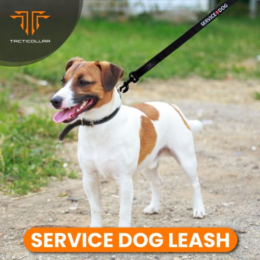Correa para Perros de Servicio Tacticollar, Resistente Correa de Nylon, Mango Acolchado de Neopreno Suave, Bordado (Longitud de 4 pies x Ancho de 1 pulgada) - Imagen 2