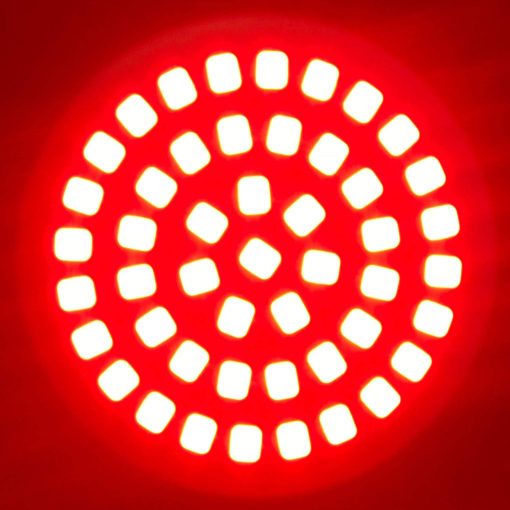 ROGUE RIDER INDUSTRIES - Luces traseras para senales de giro de motocicletas con luces traseras LED rojas brillantes - EDICIoN ESPECIAL BLACK LABEL - Luces LED para motocicletas - Luces LED rojas - Senal de giro LED 1156 para Harley Davidson - Imagen 8