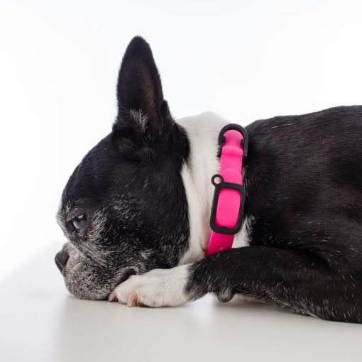 Collar para Perros NUVUQ a Prueba de Agua y Duradero, Comodo, Suave y Ligero Ajustable para Perros Activos (Tamano Mediano, Rosa Frambuesa) - Imagen 4