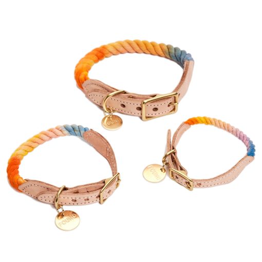 Collar de gato y perro Found My Animal - Prismatic Ombre de cuerda de algodon, (Extra Small) Hecho a mano de cuero nacional - Ajustable, hebilla de laton macizo de liberacion rapida - Collar duradero para cachorros - Hecho en EE. UU. - Imagen 4