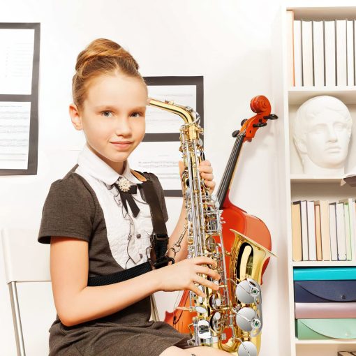 Saxofon Alto en Mi b, Saxofon Alto, Saxofon, Saxofon Alto, Saxofon para Principiantes, Saxofon para Adultos, Saxofon Adulto, Saxofon para Estudiantes, Saxofon Alto, Saxofon para Estudiantes, Dorado y Plateado - Imagen 5