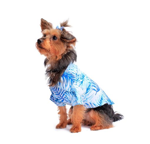 Camisa de perro Hawaiian Matching en patron Simply Blue Leaves - Talla XLarge