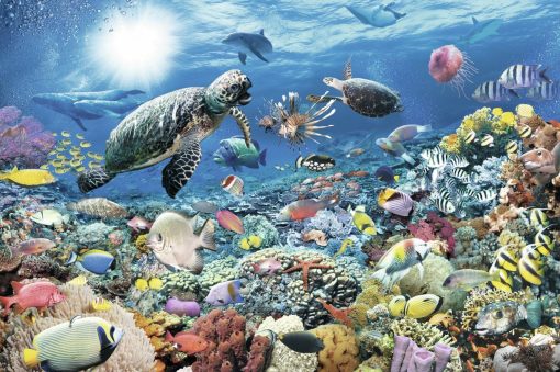 Rompecabezas Ravensburger Beneath The Sea - 5000 Piezas | Calidad Premium | Actividad en Grupo | Certificado FSC - Imagen 4