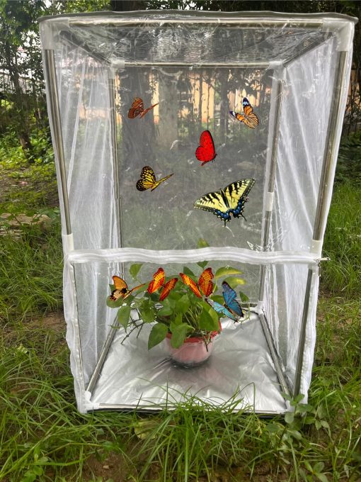 Jaula Grande para Mariposas Monarca al Aire Libre Red de Insectos Jaula de Incubacion de Mariposas Caterpillar Jaula de Mariposas 20" x 20" x 31.5" con Cremallera - Imagen 6