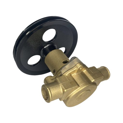 F.S.P Bomba de Agua Cruda de Repuesto para Sherwood Pleasurecraft G20, G21, 302, 351 Jabsco 18830-0010 Ford 5.0, 5.8 - RA057007