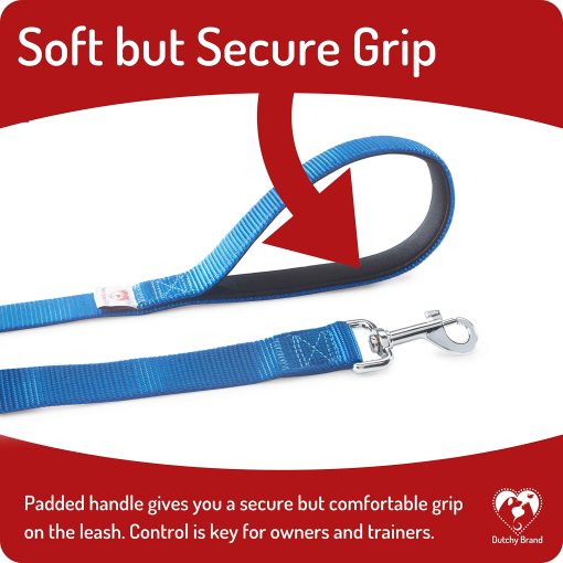 Correa para Perros para Medianos, Grandes y Pequenos - Correas de 6 Pies para Entrenamiento y Paseos Diarios - Tamanos Duraderos en Ligeros y Resistentes para Razas Pequenas y Grandes (1 Capa, Azul) - Imagen 3