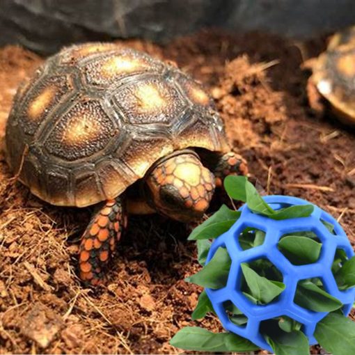 Pelota dispensadora de frutas y verduras para Tortugas - Juguete de forrajeo para Tortugas y Tortugas - Imagen 3