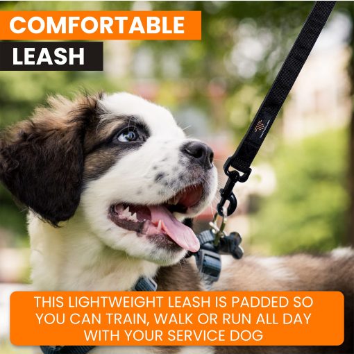 Correa para Perros de Servicio Tacticollar, Resistente Correa de Nylon, Mango Acolchado de Neopreno Suave, Bordado (Longitud de 4 pies x Ancho de 1 pulgada) - Imagen 4